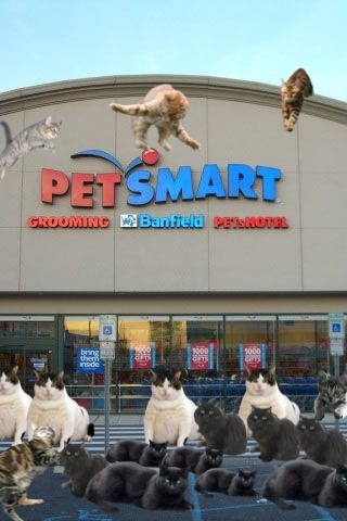 Illustration for article titled Black Friday Disasters